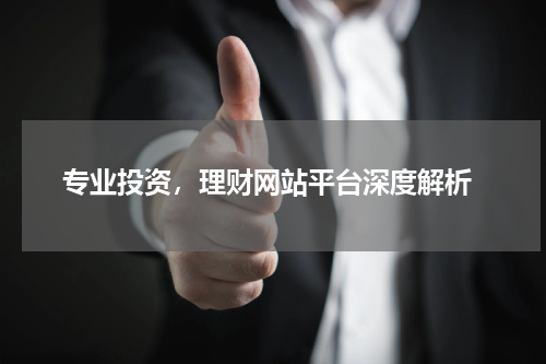  专业投资，理财网站平台深度解析