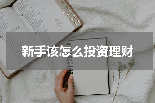 新手该怎么投资理财