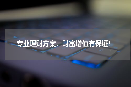 专业理财方案，财富增值有保证！