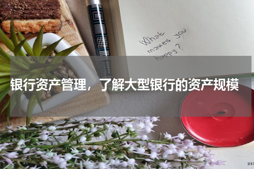 银行资产管理，了解大型银行的资产规模