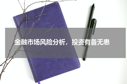  金融市场风险分析，投资有备无患