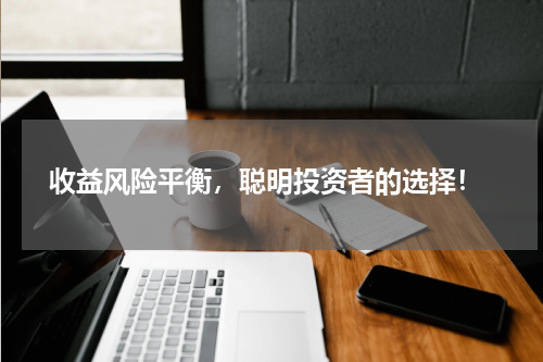  收益风险平衡，聪明投资者的选择！