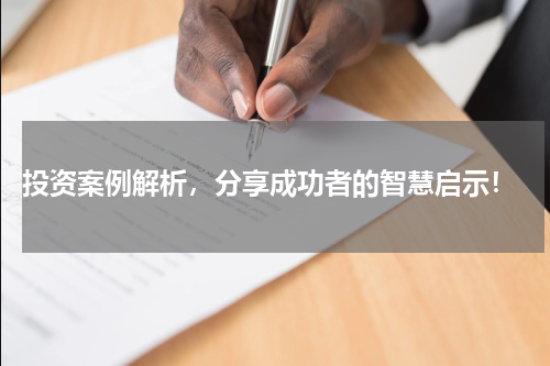  投资案例解析，分享成功者的智慧启示！