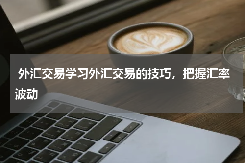  外汇交易学习外汇交易的技巧，把握汇率波动