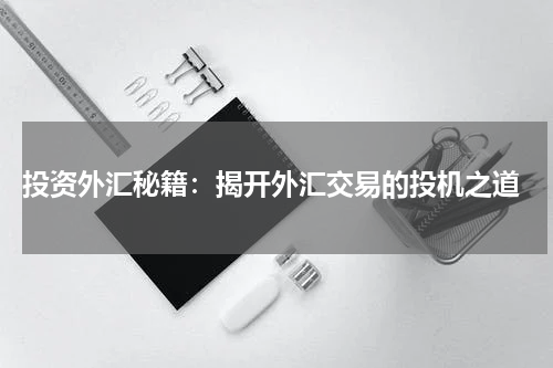  投资外汇秘籍：揭开外汇交易的投机之道