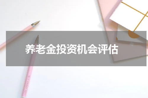  养老金投资机会评估