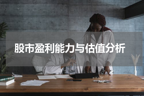  股市盈利能力与估值分析