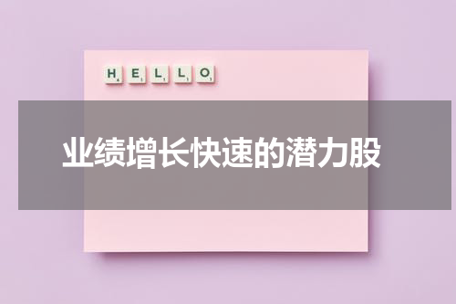  业绩增长快速的潜力股