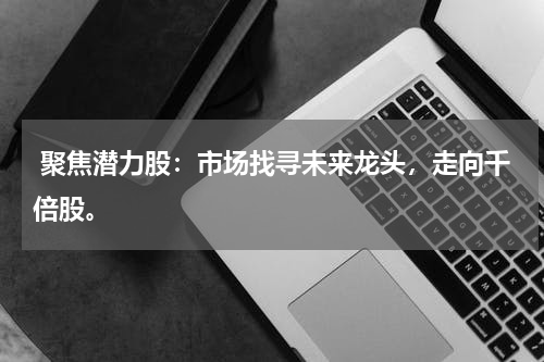 聚焦潜力股：市场找寻未来龙头，走向千倍股。