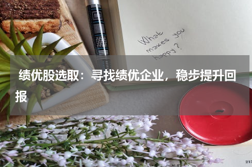  绩优股选取：寻找绩优企业，稳步提升回报