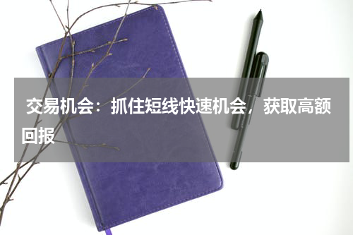  交易机会：抓住短线快速机会，获取高额回报
