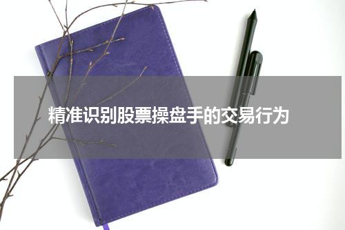  精准识别股票操盘手的交易行为