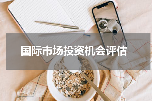  国际市场投资机会评估