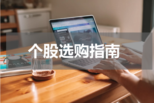  个股选购指南