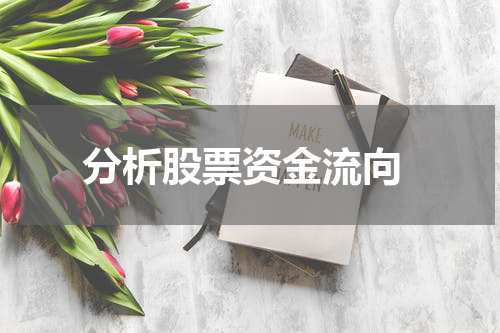  分析股票资金流向