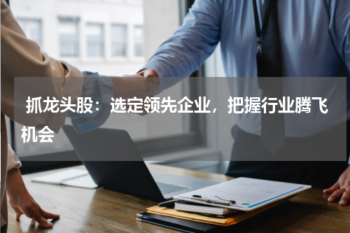  抓龙头股：选定领先企业，把握行业腾飞机会