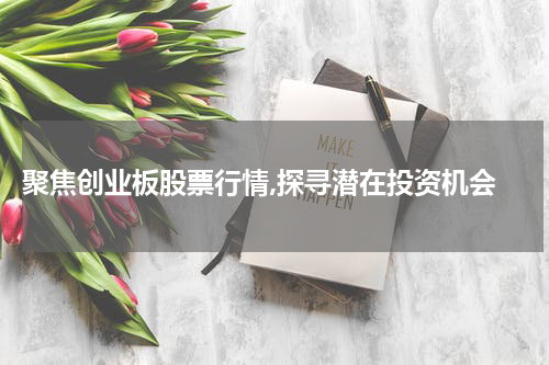  聚焦创业板股票行情,探寻潜在投资机会