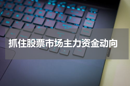  抓住股票市场主力资金动向