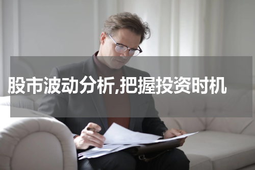  股市波动分析,把握投资时机