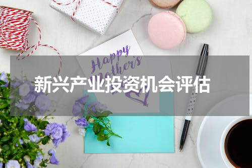  新兴产业投资机会评估