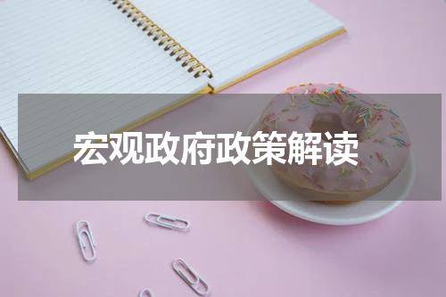  宏观政府政策解读