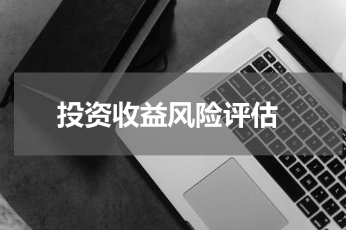  投资收益风险评估
