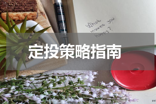  定投策略指南