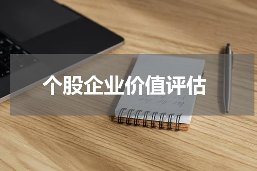  个股企业价值评估
