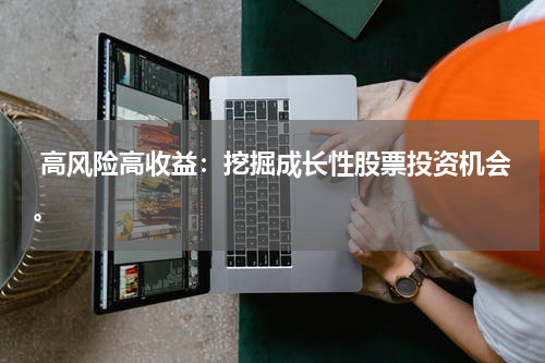  高风险高收益：挖掘成长性股票投资机会。