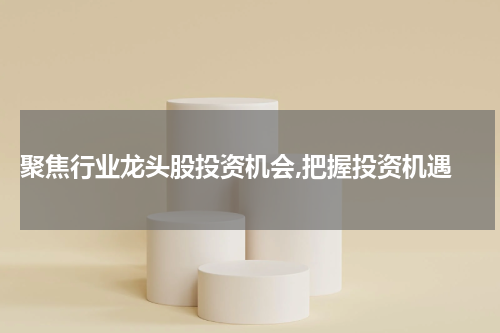  聚焦行业龙头股投资机会,把握投资机遇