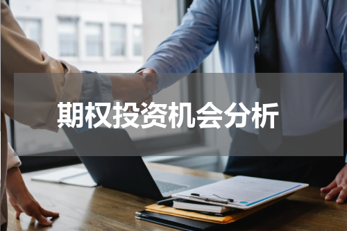  期权投资机会分析