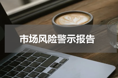  市场风险警示报告