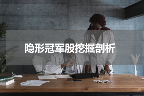  隐形冠军股挖掘剖析