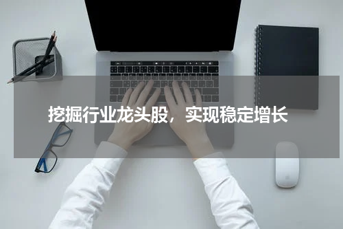  挖掘行业龙头股，实现稳定增长