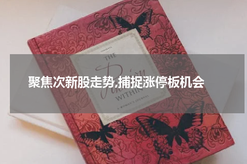  聚焦次新股走势,捕捉涨停板机会