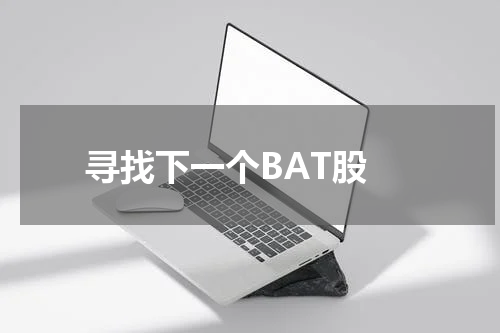  寻找下一个BAT股