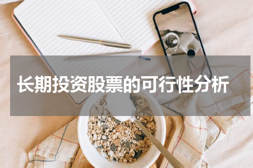  长期投资股票的可行性分析