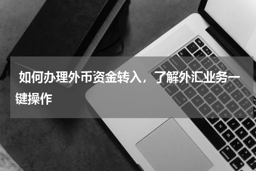  如何办理外币资金转入，了解外汇业务一键操作