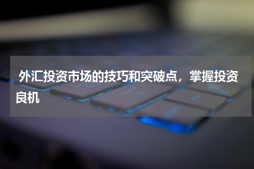  外汇投资市场的技巧和突破点，掌握投资良机