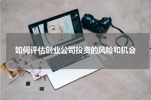 如何评估创业公司投资的风险和机会