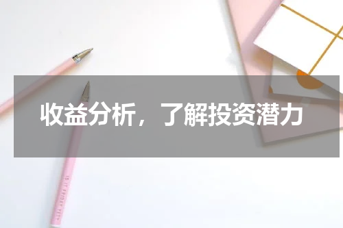 收益分析，了解投资潜力