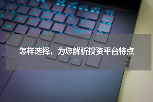 怎样选择，为您解析投资平台特点