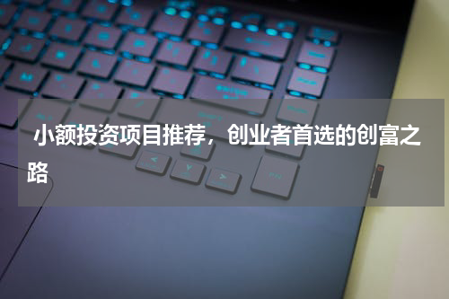  小额投资项目推荐，创业者首选的创富之路