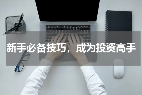 新手必备技巧，成为投资高手