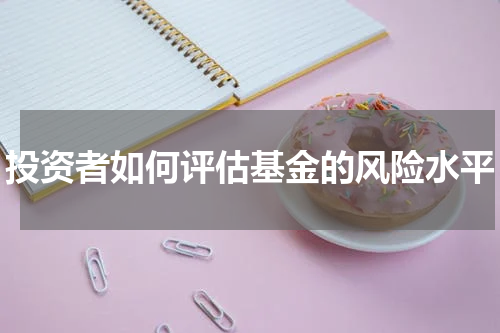 投资者如何评估基金的风险水平