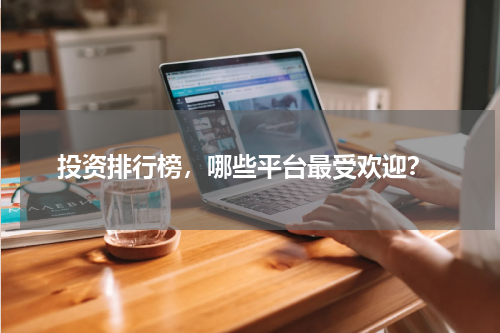  投资排行榜，哪些平台最受欢迎？