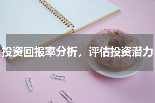投资回报率分析，评估投资潜力