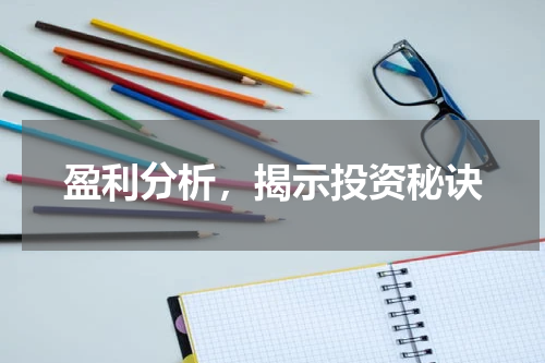 盈利分析，揭示投资秘诀