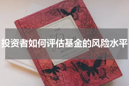 投资者如何评估基金的风险水平