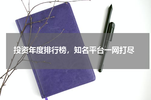  投资年度排行榜，知名平台一网打尽
